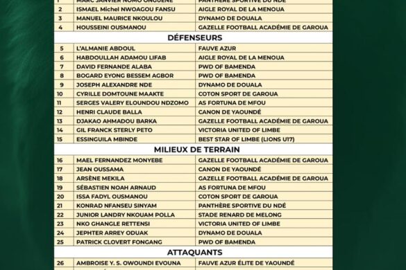 Lions Indomptables : David Pagou lance l’opération 